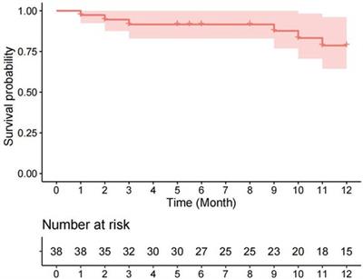 Assessing the risk of reoperation for mild pulmonary vein obstruction post-TAPVC repair: a retrospective cohort study